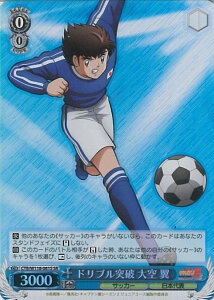 ���@�C�X�V�����@���c �h���u���˔j ��� �� �yCTB/W118-081S SR�z �L���v�e���� �V���O���J�[�h