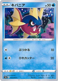 楽天市場 ポケモン キバニアの通販 楽天市場 ポケモン キバニアの通販