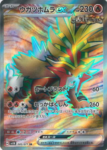 yX[p[SALEˑΏۏi|Cg10{12/11 01:59z |PJ[hQ[ EKczex ySV5K 085 / 071 SRz gpbN ChtH[X VOJ[h