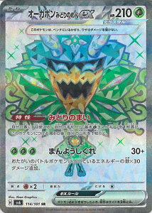 |PJ[hQ[ I[K|݂ǂ̂߂ex ySV6 114 / 101 SRz gpbN ό̉ VOJ[h