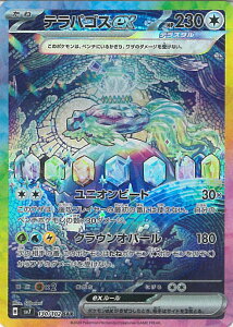 |PJ[hQ[ epSXex ySV7 130 / 102 SARz gpbN Xe~N VOJ[h