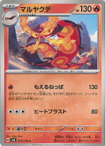 楽天市場】016 マルヤクデの通販