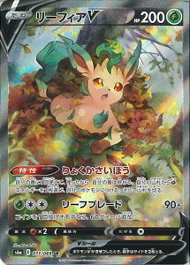 |PJ[hQ[ [tBAV yS6a 071 / 069 SRz gpbN C[uCq[[Y VOJ[h