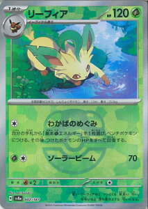 |PJ[hQ[ [tBA ~[(}X^[{[) ySV8a 002 / 187 -z nCNXpbN eX^tFXex VOJ[h