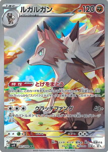 |PJ[hQ[ KK ySV9 107 / 100 ARz gpbN ogp[gi[Y VOJ[h