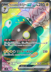 |PJ[hQ[ iW̃no[ex ySV9 114 / 100 SRz gpbN ogp[gi[Y VOJ[h