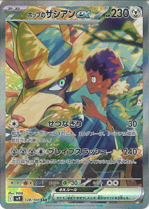 |PJ[hQ[ zbṽUVAex ySV9 128 / 100 SARz gpbN ogp[gi[Y VOJ[h