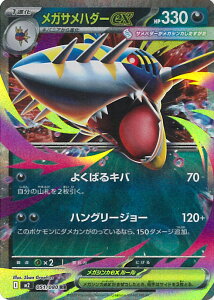 |PJ[hQ[ KTn_[ex yM2 051 / 080 RRz gpbN CtFmX VOJ[h