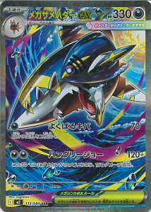 |PJ[hQ[ KTn_[ex yM2 113 / 080 SARz gpbN CtFmX VOJ[h