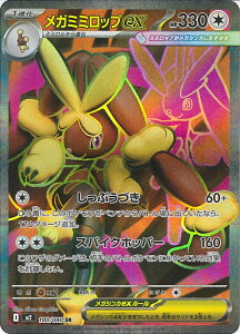 yX[p[SALEˑΏۏi|Cg10{12/11 01:59z |PJ[hQ[ K~~bvex yM2 100 / 080 SRz gpbN CtFmX VOJ[h