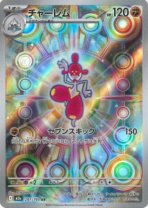 |PJ[hQ[ `[ yM2a 207 / 193 ARz nCNXpbN MEGAh[ex VOJ[h