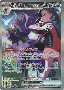 |PJ[hQ[ }B̃I[Qex yM2a 243 / 193 SARz nCNXpbN MEGAh[ex VOJ[h