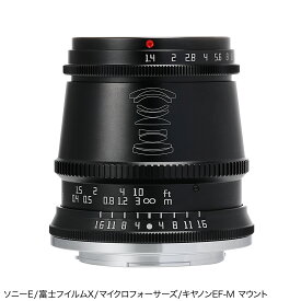 銘匠光学 TTArtisan 17mm f/1.4 C ASPH (タイプB) (ソニーEマウント、富士フイルムXマウント、マイクロフォーサーズ、キヤノンEF-Mマウント) ブラック カメラレンズ 単焦点レンズ 広角レンズ