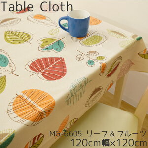 e[uNX  rj[ [tt[c 120×120cm 120cm n IW x[W ʕ t  ϐ   rO _CjO _ 킢 