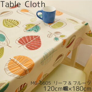 e[uNX  rj[ [tt[c 120×180cm 120cm n IW x[W ʕ t  ϐ   rO _CjO _ 킢 