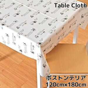 e[uNX {XgeA rj[ 120×180cm 120cm zCg ϐ h  `  Ck Aj} rO _CjO _ 킢  k rj PV