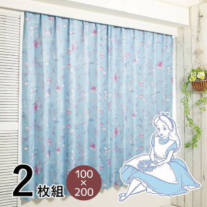 J[e h[vJ[e AX 100×200cm Ռ ՔM 2g 2Zbg Disney fBYj[ svc̍̃AX ӂ̍̃AX ې􂢉 LN^[