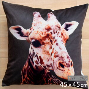 NbVJo[ 45×45cm 􂦂  Aj} 􂢑ւ ubN L q k wăNbV \t@[` tANbV  ]ʃvg