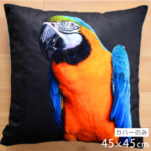 NbV NbVJo[ 45×45cm 􂦂  Aj} 􂢑ւ ubN pbg q k wăNbV NbVJo[ \t@[` tANbV NbV