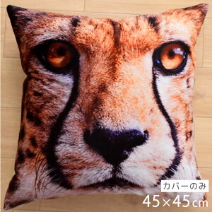 NbV NbVJo[ 45×45cm 􂦂  Aj} 􂢑ւ ubN Ip[h q k wăNbV NbVJo[ \t@[` tANbV Nb