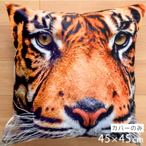 NbV NbVJo[ 45×45cm 􂦂  Aj} 􂢑ւ ubN ^CK[ q k wăNbV NbVJo[ \t@[` tANbV NbV