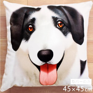 NbV NbVJo[ 45×45cm 􂦂  Aj} 􂢑ւ ubN hbO q k wăNbV NbVJo[ \t@[` tANbV NbV