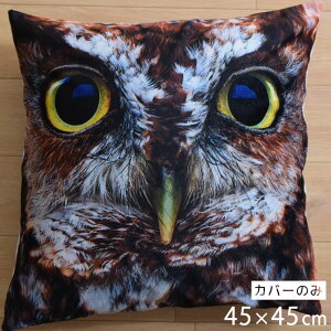 NbV NbVJo[ 45×45cm 􂦂  Aj} 􂢑ւ ubN tNE q k wăNbV NbVJo[ \t@[` tANbV NbV