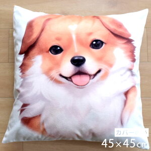 NbVJo[ 45×45cm 􂦂  Aj} 킢 􂢑ւ  CXg q k wăNbV \t@[` tANbV  ]ʃvg