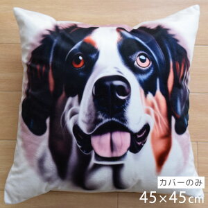 NbVJo[ 45×45cm 􂦂  Aj} 킢 􂢑ւ  CXg q k wăNbV \t@[` tANbV  ]ʃvg