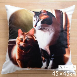 NbVJo[ 45×45cm 􂦂  Aj} 킢 􂢑ւ ˂ lR CXg q k wăNbV \t@[` tANbV  ]ʃvg