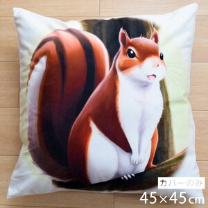 NbVJo[ 45×45cm 􂦂  Aj} 킢 􂢑ւ 肷 X CXg q k wăNbV \t@[` tANbV  ]ʃvg