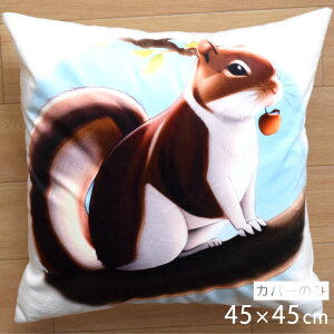 NbVJo[ 45×45cm 􂦂  Aj} 킢 􂢑ւ 肷 X CXg q k wăNbV \t@[` tANbV  ]ʃvg