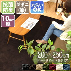 洗える抗菌防臭防ダニラグカーペット200×250cm厚さ10mm北欧ラグマットマットおしゃれ3畳オールシーズンこたつ敷きホットカーペット対応フランネルキャスト厚手無地低ホルムアルデヒド
