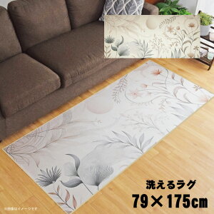 O 􂦂 k  79×175cm J[ybg CXg ANZgO ANZg}bg I[V[Y rO _CjO Q zbgJ[ybgΉ ]ʃvg TEN001-C[t