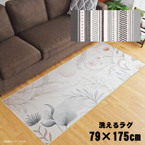 O 􂦂 k  79×175cm J[ybg CXg ANZgO ANZg}bg I[V[Y rO _CjO Q zbgJ[ybgΉ ]ʃvg TEN007-C O