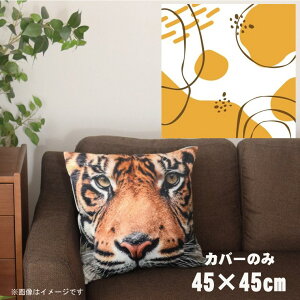 NbVJo[ 45×45cm 􂦂  􂢑ւ wăNbV \t@[` tANbV  ]ʃvg CSC-A031 T[NzCg