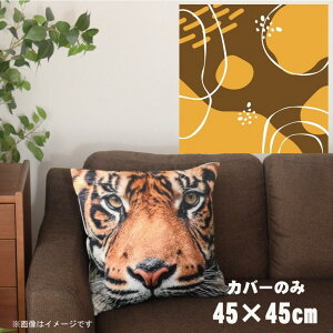 NbVJo[ 45×45cm 􂦂  􂢑ւ wăNbV \t@[` tANbV  ]ʃvg CSC-A032 T[NuE