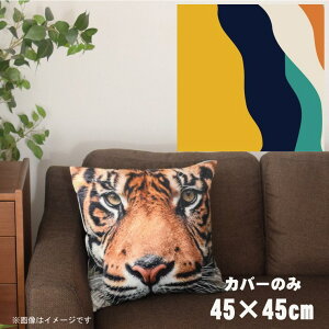 NbVJo[ 45×45cm 􂦂  􂢑ւ wăNbV \t@[` tANbV  ]ʃvg CSC-A034 cEF[uIW