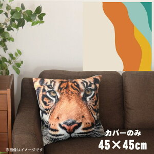 NbVJo[ 45×45cm 􂦂  􂢑ւ wăNbV \t@[` tANbV  ]ʃvg CSC-A035 cEF[ux[W