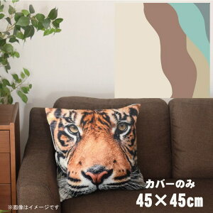 NbVJo[ 45×45cm 􂦂  􂢑ւ wăNbV \t@[` tANbV  ]ʃvg CSC-A036 cEF[ux[W2