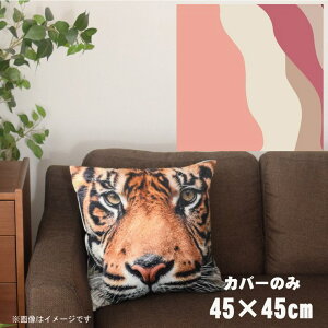 NbVJo[ 45×45cm 􂦂  􂢑ւ wăNbV \t@[` tANbV  ]ʃvg CSC-A037 cEF[usN