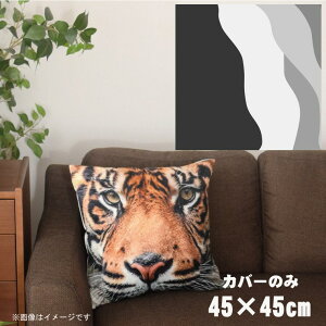 NbVJo[ 45×45cm 􂦂  􂢑ւ wăNbV \t@[` tANbV  ]ʃvg CSC-A038 cEF[uO[