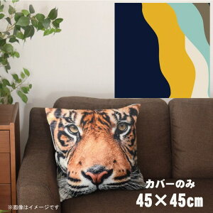 NbVJo[ 45×45cm 􂦂  􂢑ւ wăNbV \t@[` tANbV  ]ʃvg CSC-A039 cEF[ulCr[