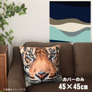 NbVJo[ 45×45cm 􂦂  􂢑ւ wăNbV \t@[` tANbV  ]ʃvg CSC-A040 EF[ulCr[