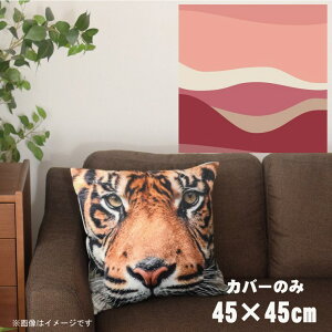 NbVJo[ 45×45cm 􂦂  􂢑ւ wăNbV \t@[` tANbV  ]ʃvg CSC-A042 EF[usN