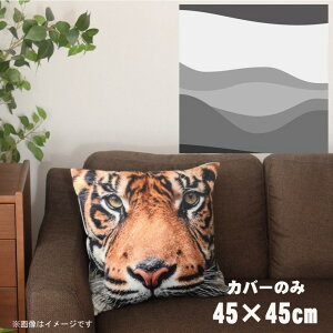 NbVJo[ 45×45cm 􂦂  􂢑ւ wăNbV \t@[` tANbV  ]ʃvg CSC-A045 EF[uO[