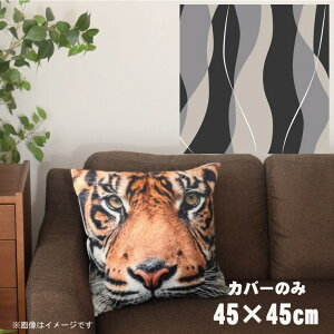 NbVJo[ 45×45cm 􂦂  􂢑ւ wăNbV \t@[` tANbV  ]ʃvg CSC-A049 cg`O[2