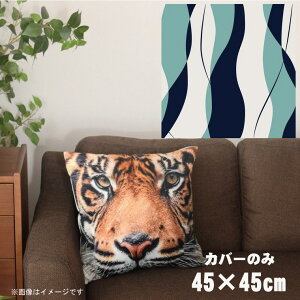 NbVJo[ 45×45cm 􂦂  􂢑ւ wăNbV \t@[` tANbV  ]ʃvg CSC-A050 cg`lCr[