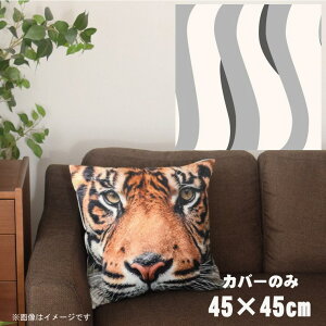 NbVJo[ 45×45cm 􂦂  􂢑ւ wăNbV \t@[` tANbV  ]ʃvg CSC-A051 cg`zCg