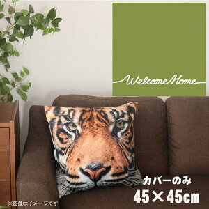 NbVJo[ 45×45cm 􂦂  􂢑ւ wăNbV \t@[` tANbV  ]ʃvg CSC-A059 VvbZO[